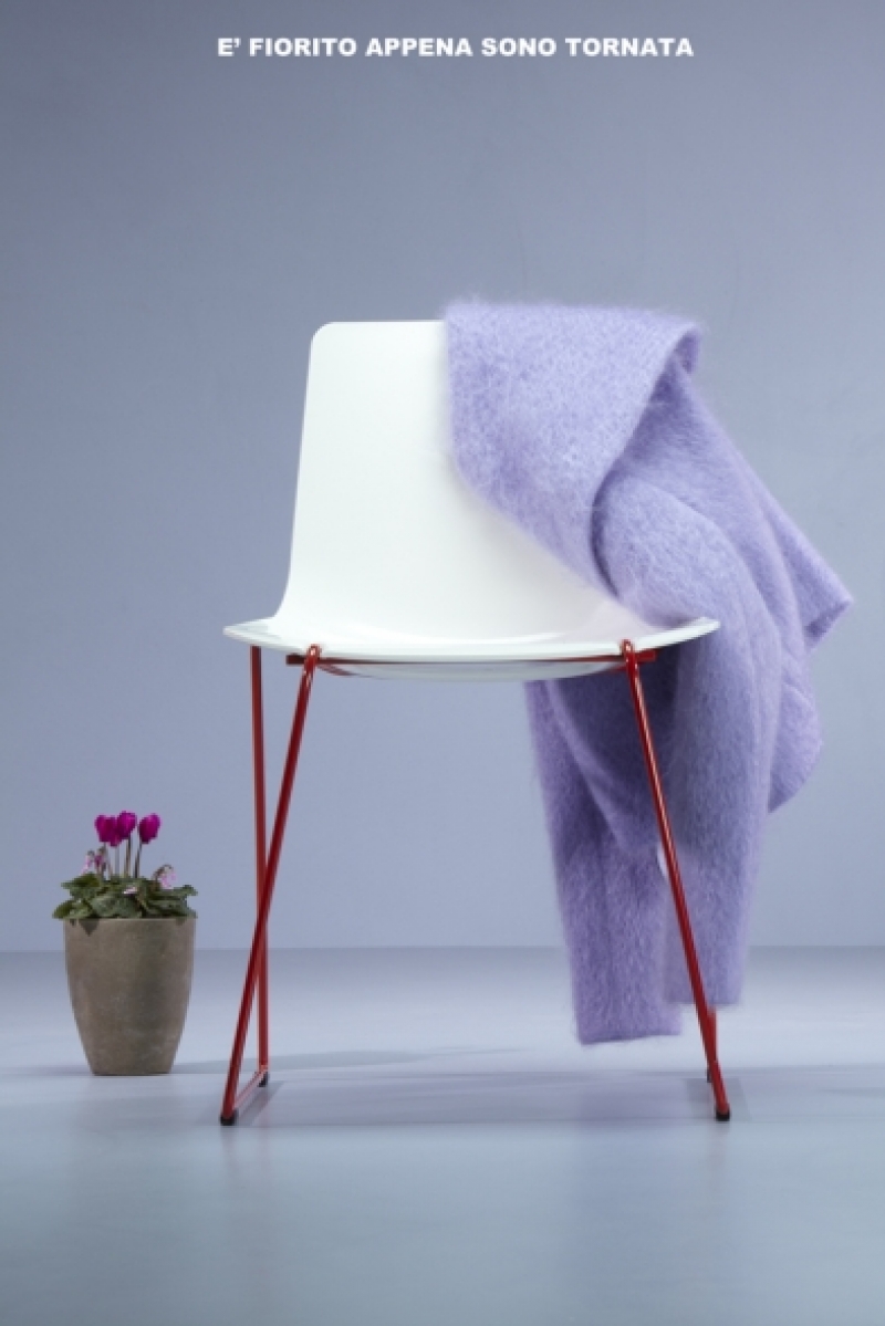 cappottoviola.jpg