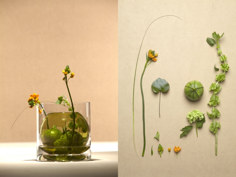 vasi&botanica1.jpg